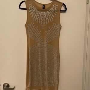 See through Mesh Fitted Dress
